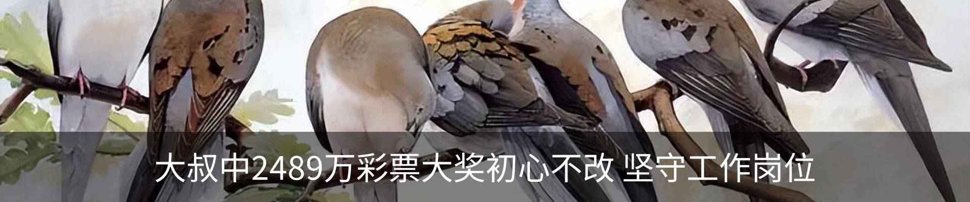 新闻动态