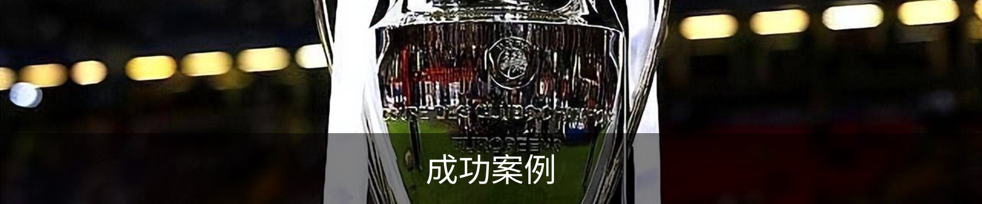 成功案例